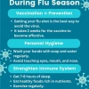 Flu Season Prevention Tips